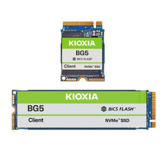Kioxia KBG50ZNS1T02 hind ja info | Sisemised kõvakettad | hansapost.ee