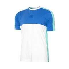 Мужская футболка Champion, сине-мятно-зеленый цвет цена и информация | Мужские футболки | hansapost.ee