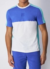 Champion meeste T-särk, sinine-mündiroheline hind ja info | T-särgid meestele | hansapost.ee