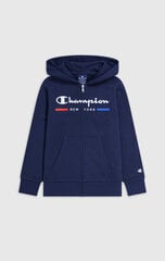 Детский джемпер Champion, темно-синий цвет цена и информация | Свитеры, жилетки, пиджаки для мальчиков | hansapost.ee