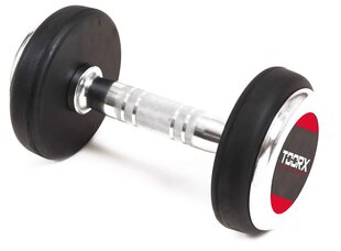 Гиря Toorx Fitness Mgp Professional, 22 кг цена и информация | Гантели, гири, штанги | hansapost.ee