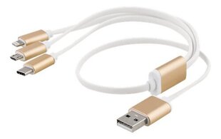 Epzi USB-MULTI05, USB C, Lightining, Micro USB, 0.5m hind ja info | Mobiiltelefonide kaablid | hansapost.ee