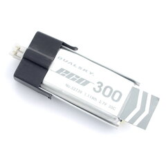Dualsky Li-Pol 300mAh 30C 1S 3.7V цена и информация | Аккумуляторы | hansapost.ee