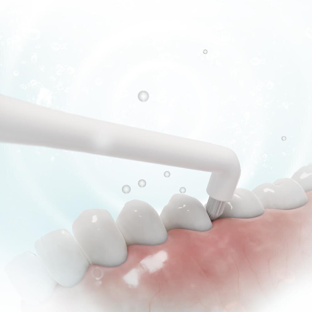 Sencor SOX 107 hind ja info | Elektriliste hambaharjade otsikud | hansapost.ee