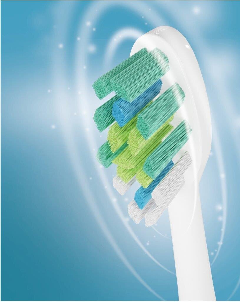 Sencor SOC 4201GD hind ja info | Elektrilised hambaharjad | hansapost.ee