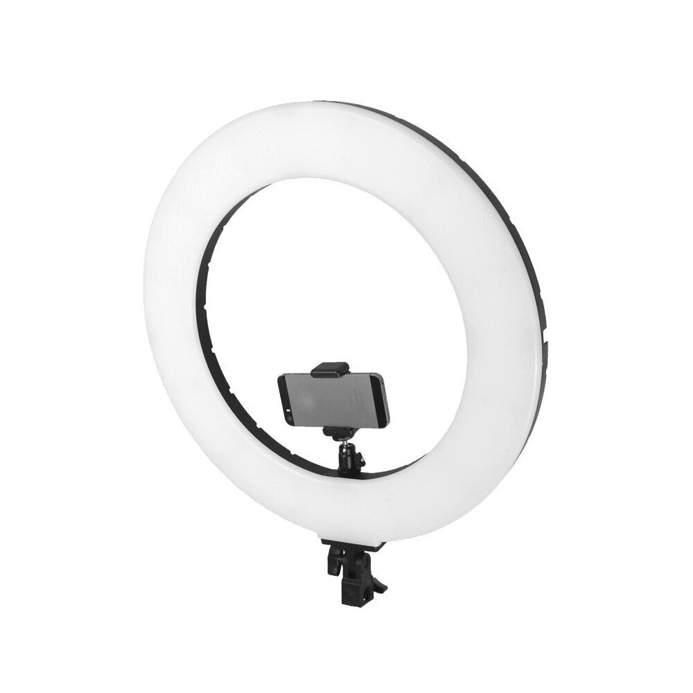 Formax LED60, 1 tk. цена и информация | Fotovalgustid, ringvalgustid ja fotostuudiod | hansapost.ee