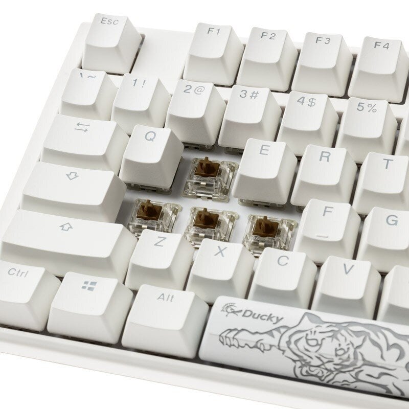 Ducky One 3 Classic TKL RGB US MX Brown Switch цена и информация | Klaviatuurid | hansapost.ee