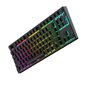 DreamKey TKL RGB hind ja info | Klaviatuurid | hansapost.ee
