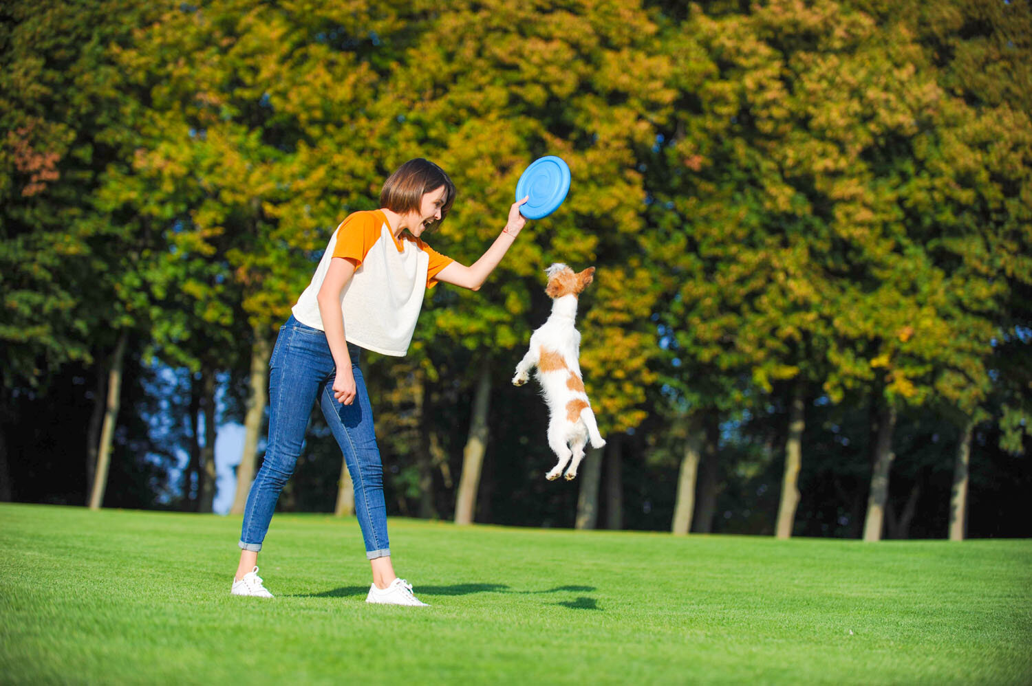 Interaktiivne mänguasi koertele lendav ketas Doggy Pitchdog, 24 cm, oranž hind ja info | Koerte mänguasjad | hansapost.ee