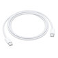 Apple USB-C kaabel 1 m, valge цена и информация | Mobiiltelefonide kaablid | hansapost.ee