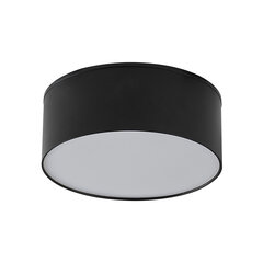 Zumaline laevalgusti Solari price and information | Ceiling lamps | hansapost.ee