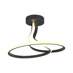 Laevalgusti Zumaline Clint price and information | Ceiling lamps | hansapost.ee