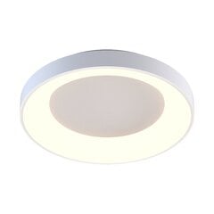 Laevalgusti Zumaline Cameron price and information | Ceiling lamps | hansapost.ee