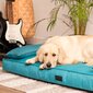 Veekindel koeravoodi Doggy Champion, erinevad suurused, sinine цена и информация | Pesad, asemed | hansapost.ee