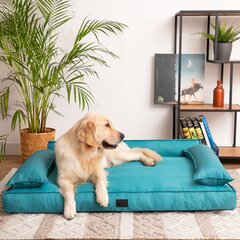 Непромокаемая лежанка для собак Doggy Champion, разные размеры, синего цвета цена и информация | Лежаки, домики | hansapost.ee