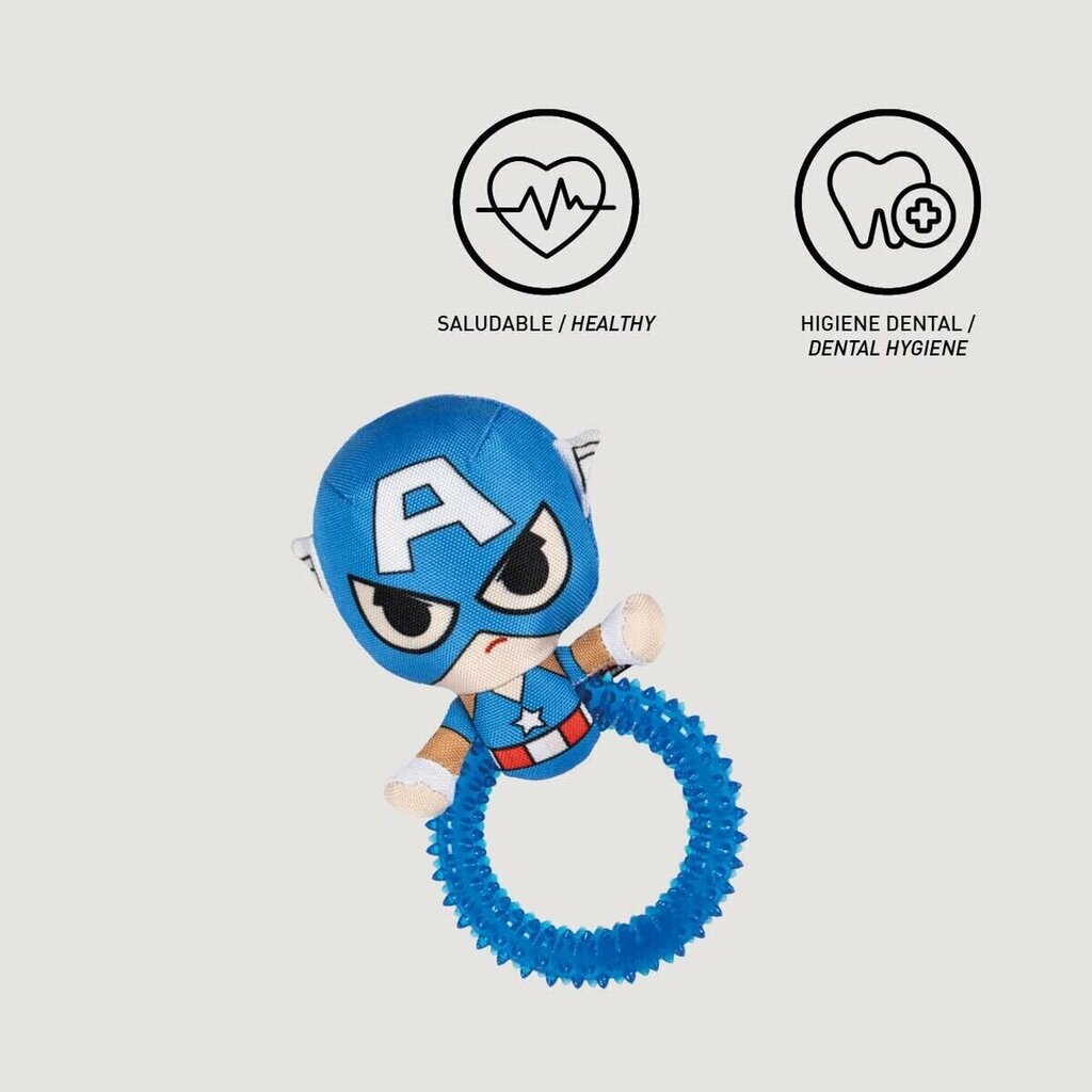 Mänguasi koertele The Avengers, sinine hind ja info | Koerte mänguasjad | hansapost.ee