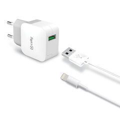 Celly 2,4 A. USB 2.0 Lightning laadija TCUSBLIGHT hind ja info | Celly Mobiiltelefonid, fotokaamerad, nutiseadmed | hansapost.ee