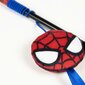 Mänguasi kassidele Spiderman, punane цена и информация | Kasside mänguasjad | hansapost.ee