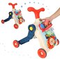 Interaktiivne 5in1 tõukekäru ja tegevuslaud hind ja info | Beebide mänguasjad | hansapost.ee
