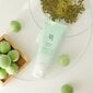 Puhastusvaht ploomiekstraktiga Beauty Of Joseon Green Plum Refreshing Cleanser, 100 ml hind ja info | Näopuhastusvahendid | hansapost.ee