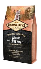 Carnilove Salmon&Turkey lõhe ja kalkuniga, suurt tõugu kutsikatele, 4 kg цена и информация | Сухой корм для собак | hansapost.ee