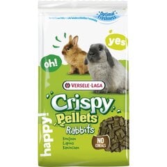 Toit küülikutele Versele-Laga Crispy Pallet Rabbits, 25 kg hind ja info | Toit väikeloomadele | hansapost.ee