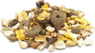 Küülikute ja näriliste suupiste Versele-Laga Crispy Snack Popcorn, 1,75 kg hind ja info | Toit väikeloomadele | hansapost.ee