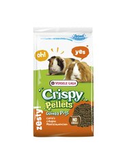 Корм для морских свинок Versele-Laga Crispy Pellets Pellets, 2 кг цена и информация | Корм для грызунов | hansapost.ee