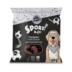 Mr. Bandit Proovige Sport Maxi treeninguid, lambaliha maitset, 500 g price and information | Dog treats | hansapost.ee