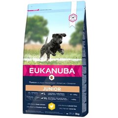 Eukanuba Developing Junior Large Breed kanaga koertele, 3 kg hind ja info | Koerte kuivtoit ja krõbinad | hansapost.ee
