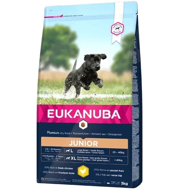 Eukanuba Developing Junior Large Breed kanaga koertele, 3 kg цена и информация | Koerte kuivtoit ja krõbinad | hansapost.ee