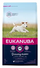 Eukanuba Growing Puppy Small Breed väikest tõugu koertele kanaga, 2 kg hind ja info | Koerte kuivtoit ja krõbinad | hansapost.ee