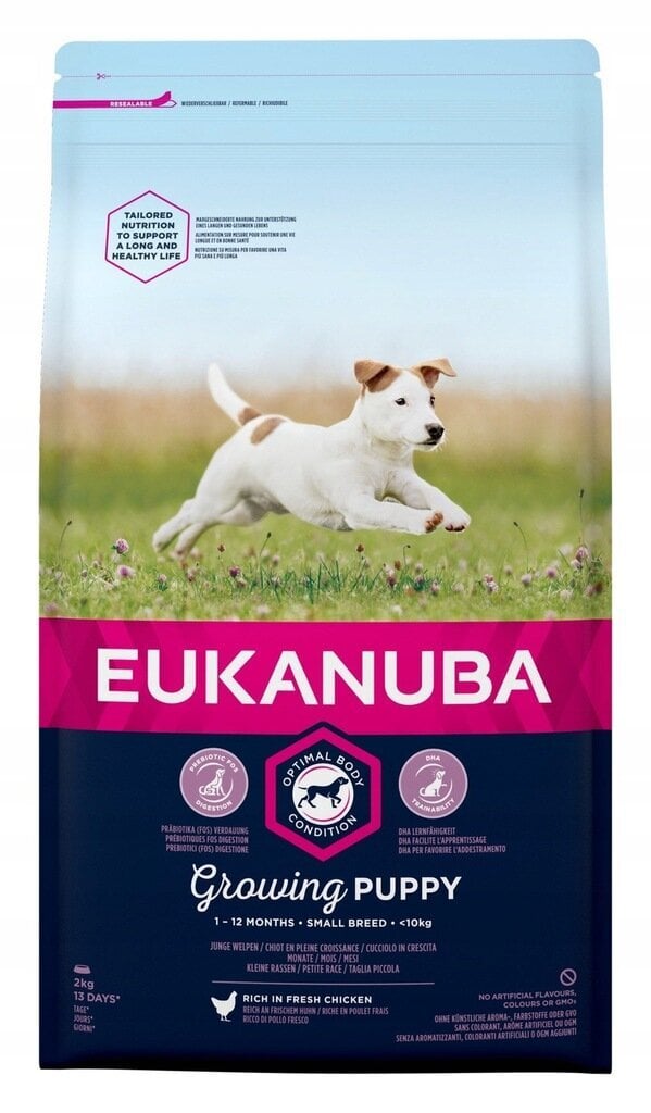 Eukanuba Growing Puppy Small Breed väikest tõugu koertele kanaga, 2 kg цена и информация | Koerte kuivtoit ja krõbinad | hansapost.ee