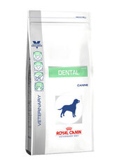 Royal Canin Dog dental täiskasvanud koertele, 13 kg цена и информация | Сухой корм для собак | hansapost.ee