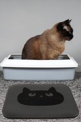 Kassi WC-matt Conceptum Hypnose Simple, 45x60 cm цена и информация | Туалеты для кошек | hansapost.ee