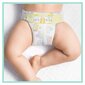 Mähkmed Pampers Premium Protection 5 (11-16 kg), 148 tk. hind ja info | Mähkmed, riidest mähkmed | hansapost.ee