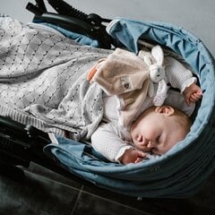 Детский плед Babyono 1479/02, 75x100 см цена и информация | Покрывала, пледы | hansapost.ee