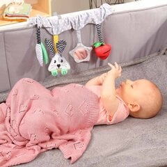 Babyono laste tekk 1478/01, 75x100 cm kaina ir informacija | Pleedid, voodikatted ja päevatekid | hansapost.ee