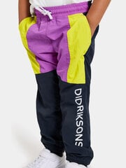 Детские брюки Didriksons Hjortron, темно-сине-желтый цвет цена и информация | Didriksons Одежда для мальчиков | hansapost.ee