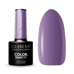 Лак гибридный Claresa Soak Off UV/LED Winter Wonderland 6 5г цена и информация | Лаки, укрепители для ногтей | hansapost.ee