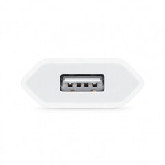 Apple MGN13ZM/A цена и информация | Зарядные устройства для телефонов | hansapost.ee