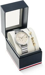 Käekell Tommy Hilfiger 2770045 цена и информация | Женские часы | hansapost.ee