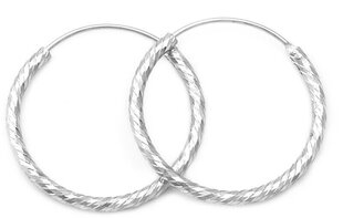 Удивительные серебряные круглые серьги Beneto AGUC350 цена и информация | Серьги | hansapost.ee