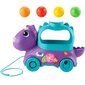 Põrkuvad pallid Fisher Price dinosaurus hind ja info | Arendavad laste mänguasjad | hansapost.ee