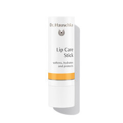 Dr. Hauschka Lip Care huulepalsam 4,9 g hind ja info | Huulekosmeetika | hansapost.ee