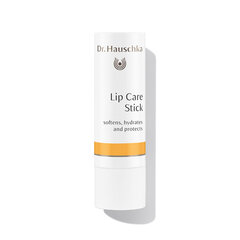 Dr. Hauschka Lip Care huulepalsam 4,9 g price and information | Lip cosmetics | hansapost.ee