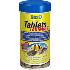 Корм для донных рыб Tetra Tablets TabiMin XL, 157 гр цена и информация | Корм для рыб | hansapost.ee