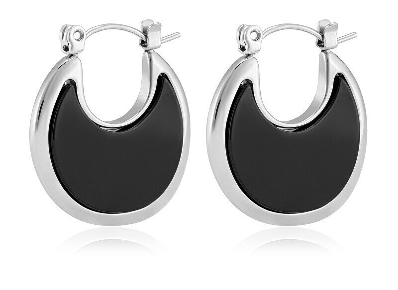 Kõrvarõngad naistele Troli VAAJDE201446S-BK, hõbedane цена и информация | Kõrvarõngad | hansapost.ee