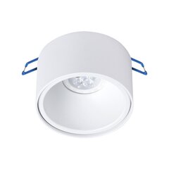 круглый потолочный светильник, белый цена и информация | Потолочные светильники | hansapost.ee