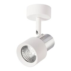потолочный светильник, 230 в/50 гц, белый цена и информация | Потолочные светильники | hansapost.ee